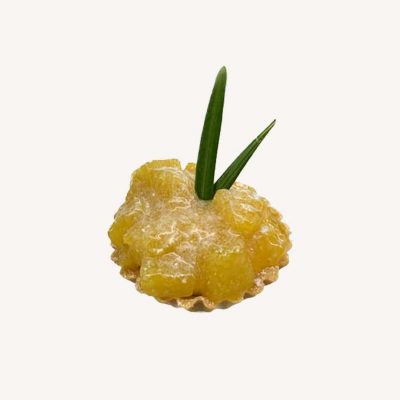 Mango Mini Tart